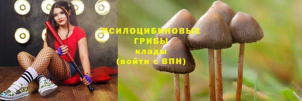 ГАЛЛЮЦИНОГЕННЫЕ ГРИБЫ Абдулино
