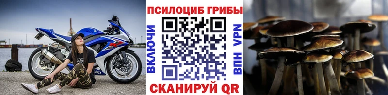 Псилоцибиновые грибы Psilocybine cubensis  даркнет сайт  Нюрба 