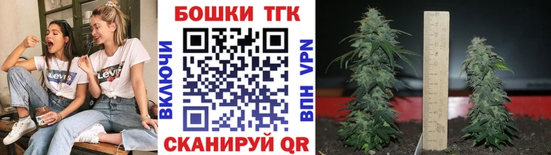 Шишки марихуана Amnesia  Нюрба 